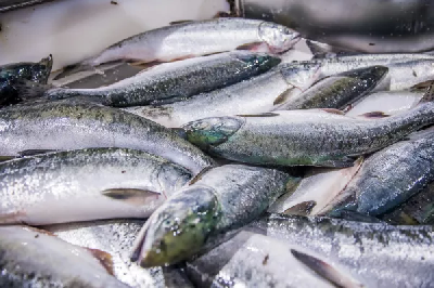 Президент России дал поручение по субсидированию ж/д перевозок лососей и сардины иваси
