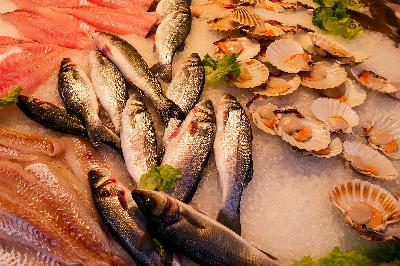 Росрыболовство усилит контроль за обеспечением внутреннего рынка доступной российской рыбой
