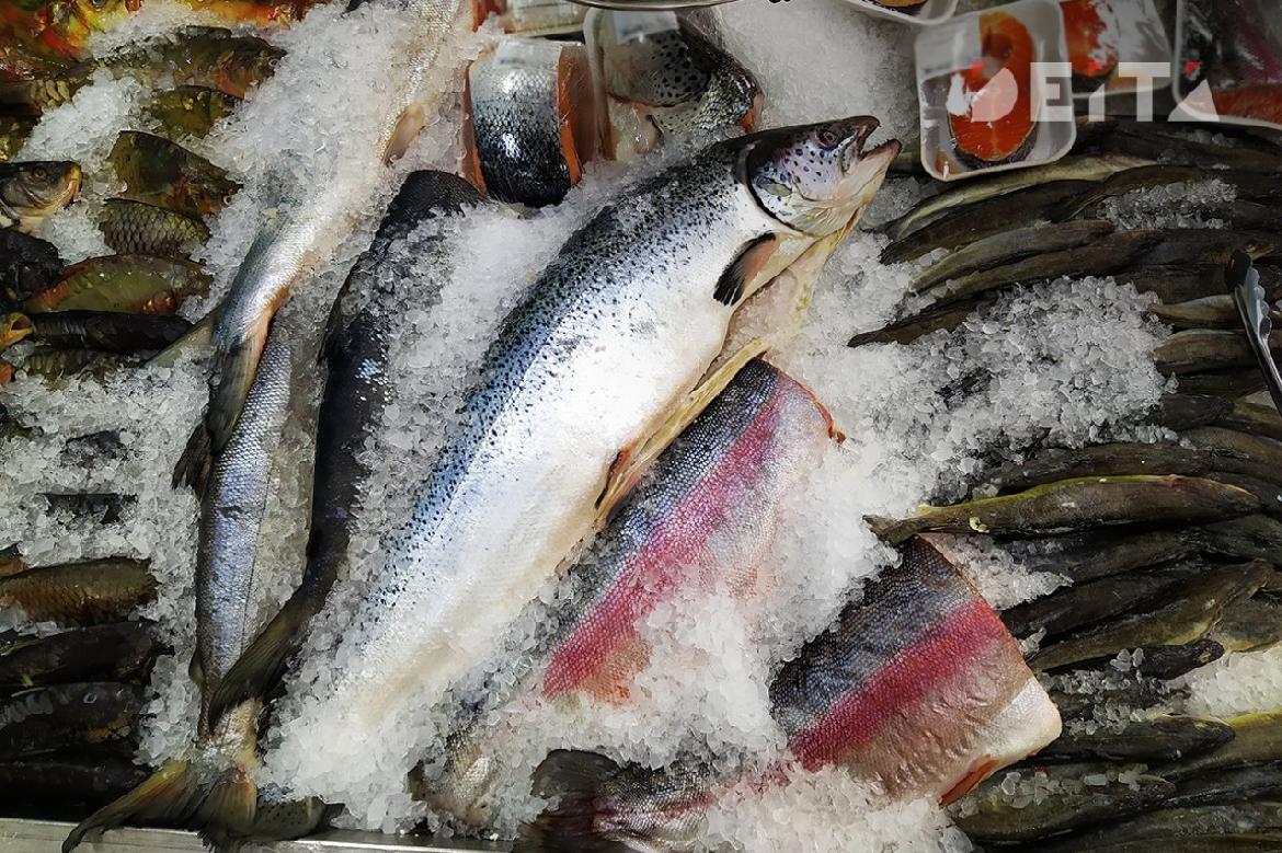 Рыба плывет мимо санкций: Россия продолжает зарабатывать на морепродуктах