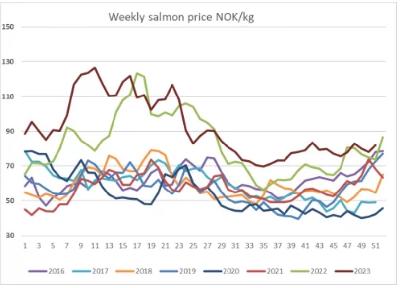 Праздничный сезон вызвал рост цен на лосося