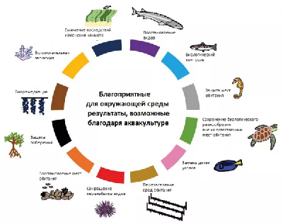Исследование Мельбурнского университета выявило 12 способов, которыми аквакультура может принести пользу окружающей среде